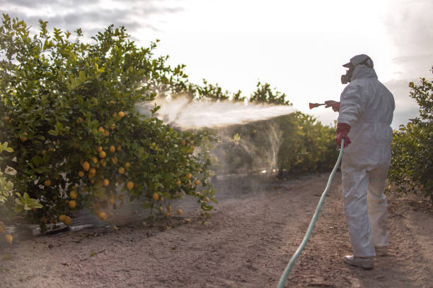 Professional Pest Control in Temple City, CA